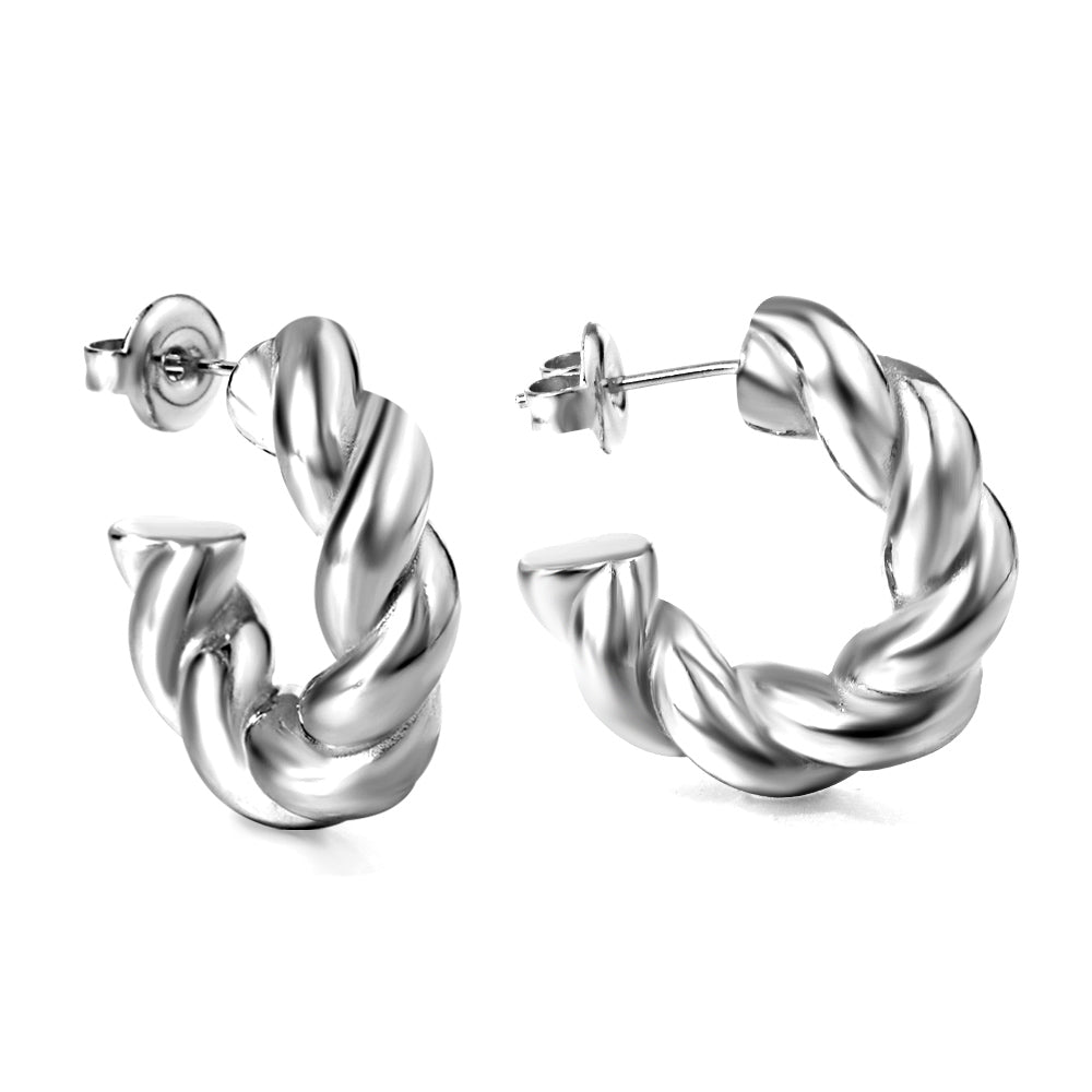 Twisted C Shaped Earrings